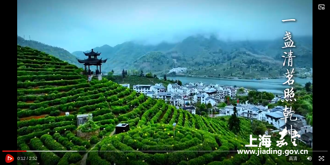 清廉中国丨一盏清茗照乾坤
